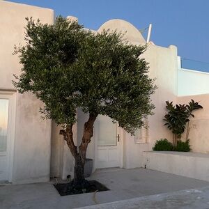 Meet your Posher, Kendra